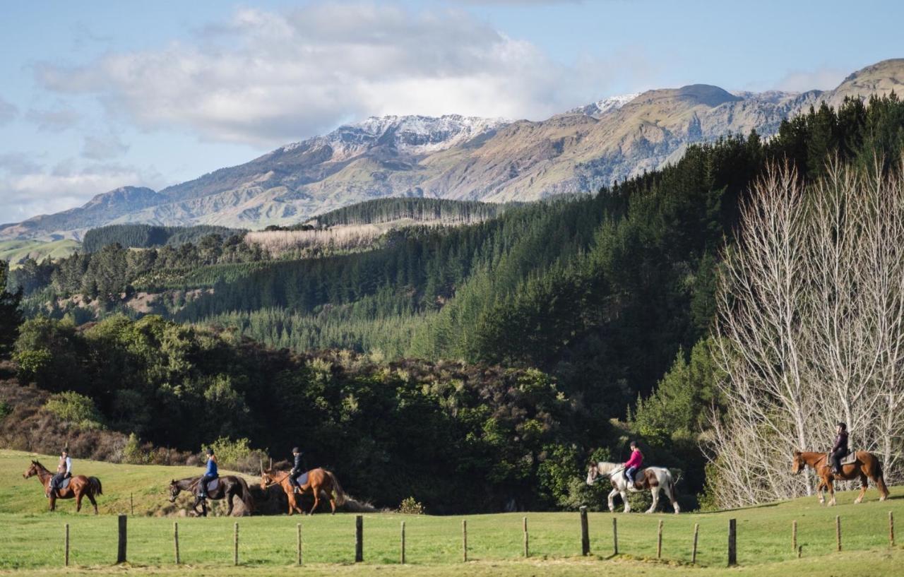 Mohaka River Farm Te Haroto Exteriér fotografie