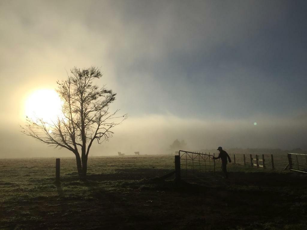 Mohaka River Farm Te Haroto Exteriér fotografie